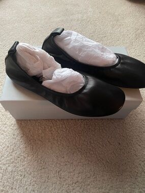 Clergerie Paris Molly Ballet Flats. NWT- beautiful size 39
